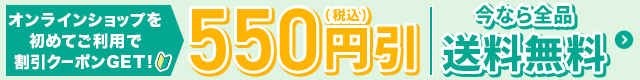 オンラインショップを初めてご利用で割引クーポンGET!  550円(税込)引 今なら全品送料無料