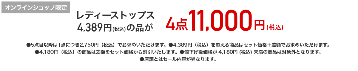 レディーストップス 4,389円（税込）の品が 4点11,000円（税込）