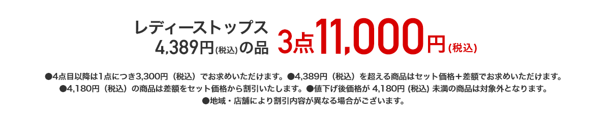 レディーストップス 4,389円（税込）の品が 3点11,000円（税込）