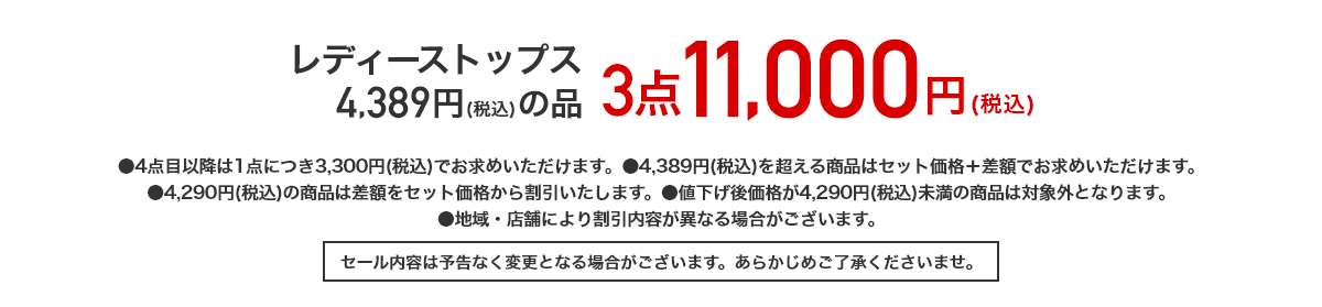 レディーストップス 4,389円（税込）の品 3点11,000円（税込）