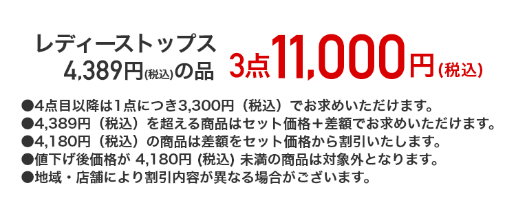 レディーストップス 4,389円（税込）の品が 3点11,000円（税込）