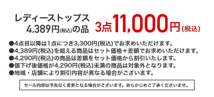 レディーストップス 4,389円（税込）の品 3点11,000円（税込）