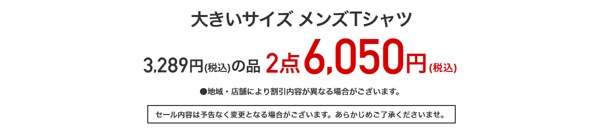 メンズ大きいサイズTシャツ