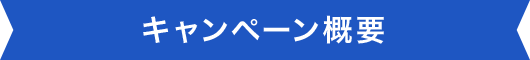 キャンペーン概要