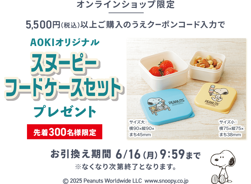 オンラインショップ限定 5,500円(税込)以上ご購入のうえクーポンコード入力で AOKIオリジナルスヌーピーフードケースセットプレゼント 先着300名様限定 お引換え期間 6/16(月)9:59まで ※なくなり次第終了となります。