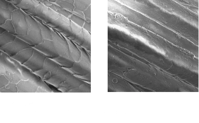 このスケールがついていると、染料が羊毛の奥まで浸透しません。なので、私たちは「オフスケール」と呼ばれる加工を施し、表面のうろこを除去。一般的なスーツでは行わない手間をかけることで、フォーマルスーツにふさわしい黒を実現しているのです