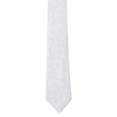 大剣幅6.5cm ペイズリー柄 スリムフォーマルネクタイ LES MUES【AOKI