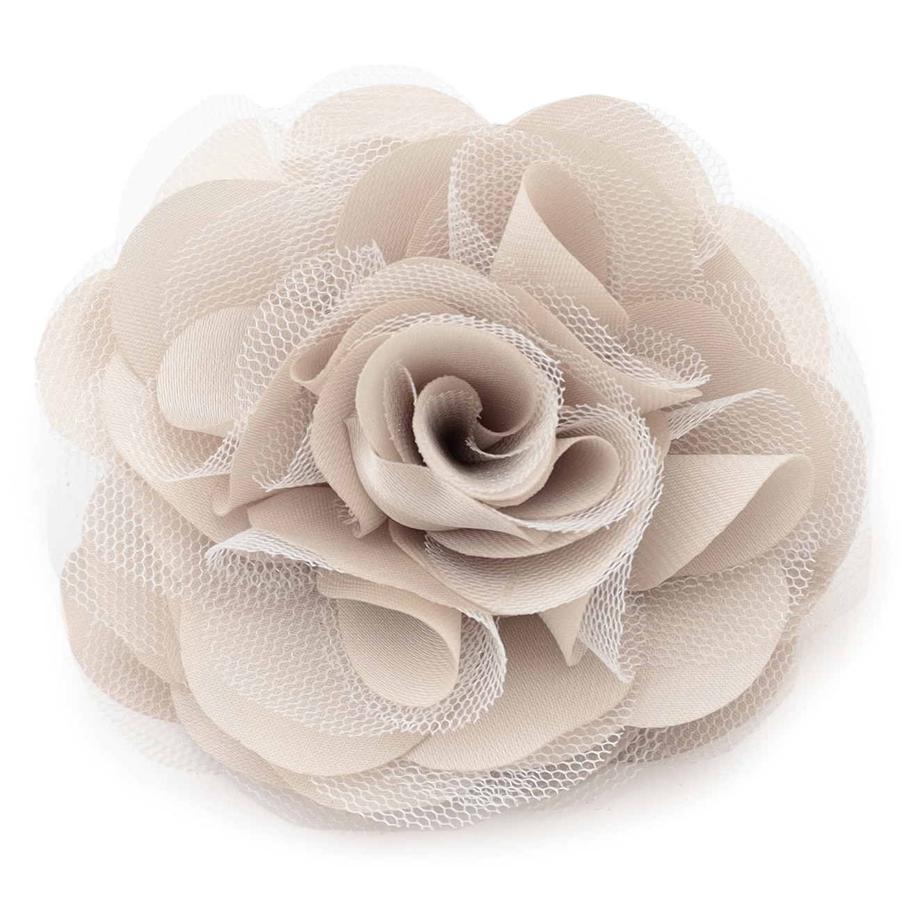 ���[�Y�R�T�[�W�� ���S�s���E�N���b�v�t��