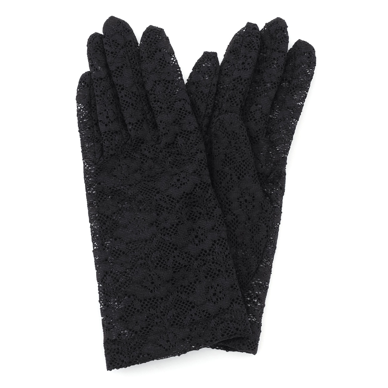 �t�H�[�}����� �� �����[�X��