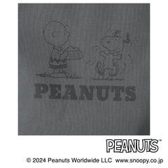 AOKI＆PEANUTSコラボ 軽量 2wayトートバッグ