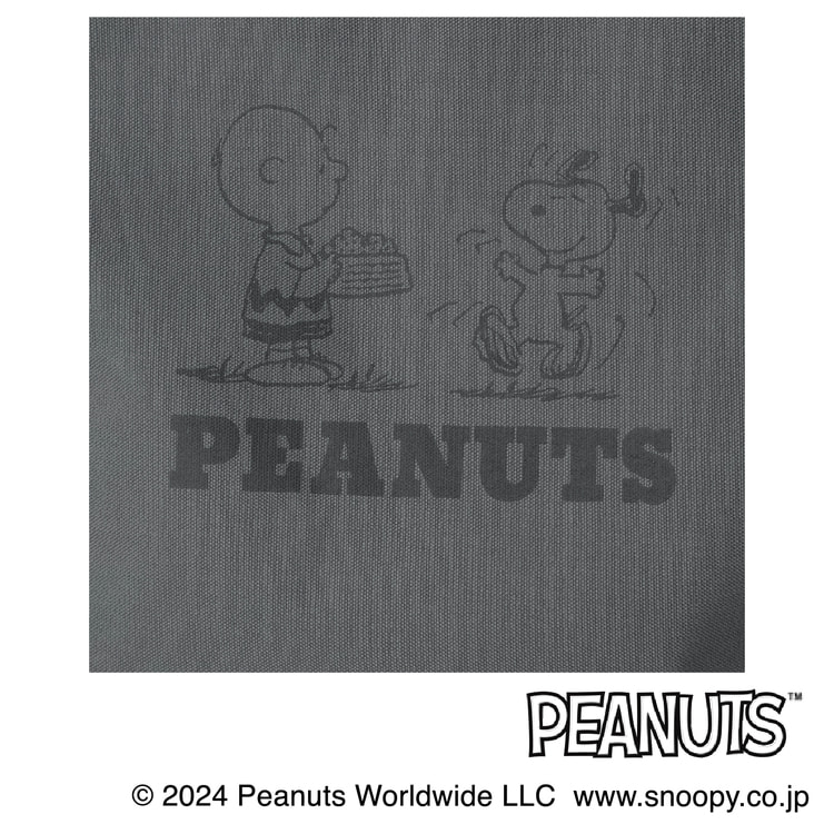AOKI＆PEANUTSコラボ 軽量 2wayトートバッグ