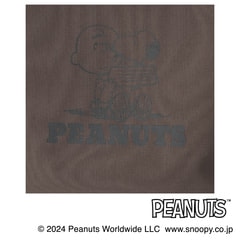 AOKI＆PEANUTSコラボ 軽量 2wayトートバッグ