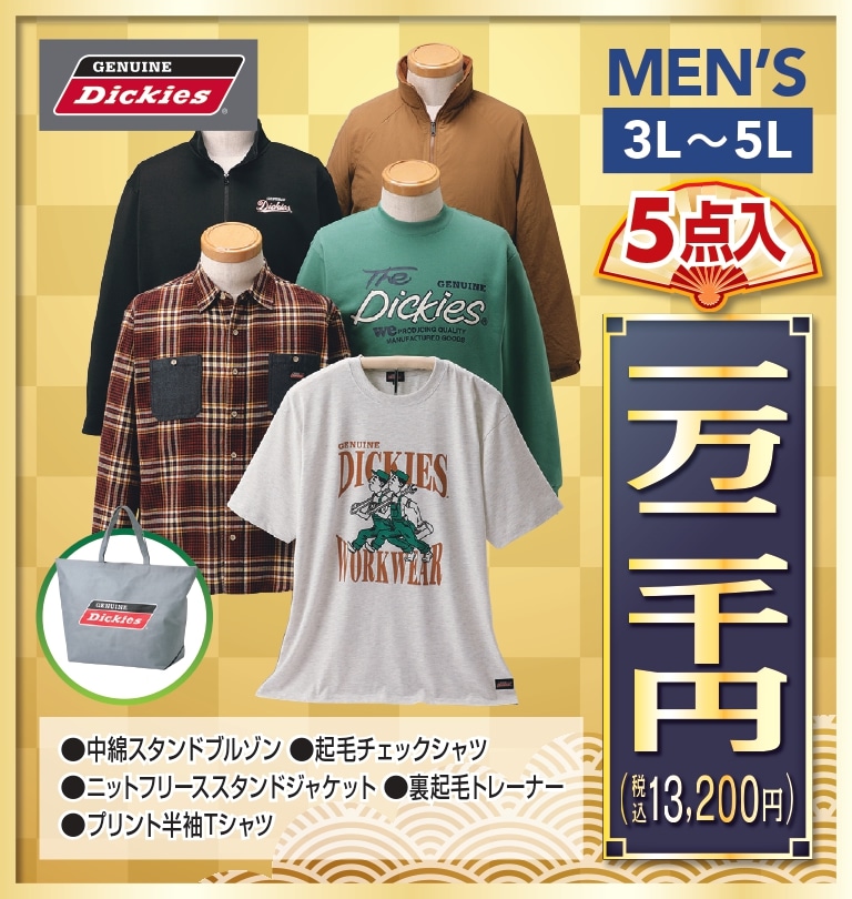 �y�\��̔��z12�����{�����ySizeMAX�z���� GENUINE Dickies 5�_�Z�b�g