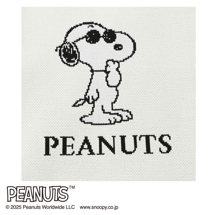 SNOOPY - aiko様♡専用 AOKI＆PEANUTSコラボ ニットバッグ【AOKI公式通販】