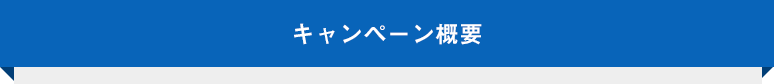 キャンペーン概要