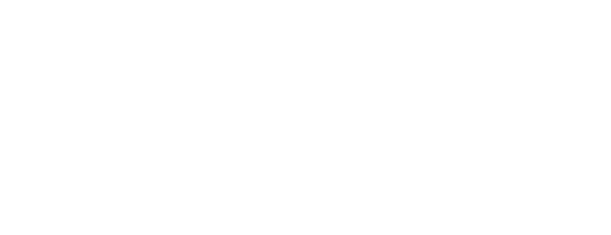 THE AOKI TAILORED