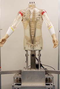 着心地を測定する人間型ロボットが稼働中